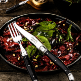 Premium Line Steakmessen Zwart Messen Laguiole