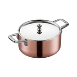 Scanpan Steel lid 20 cm - Maitre D' Pannen Scanpan